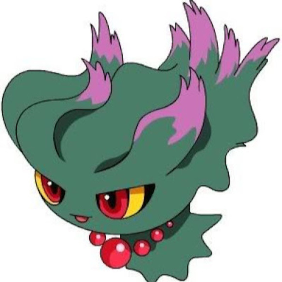 Meet your Posher, Vinny - Picture 1 of 1